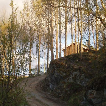 Ivaregga Vinterstua Tolga Bagian luar foto