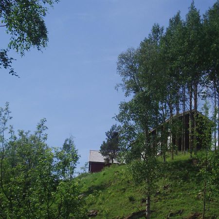 Ivaregga Vinterstua Tolga Bagian luar foto