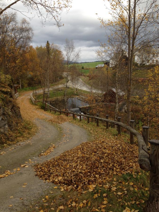 Ivaregga Vinterstua Tolga Bagian luar foto