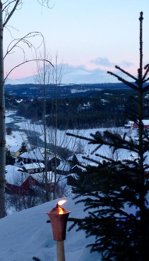 Ivaregga Vinterstua Tolga Bagian luar foto