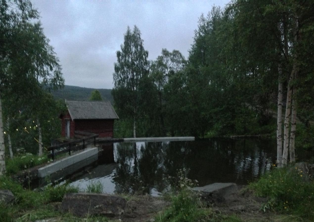 Ivaregga Vinterstua Tolga Bagian luar foto