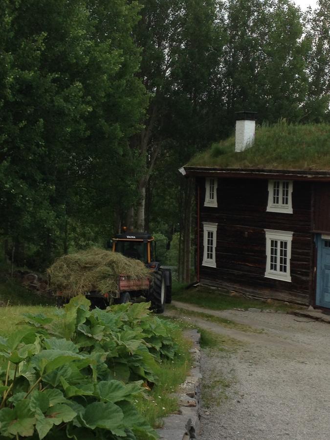 Ivaregga Vinterstua Tolga Bagian luar foto