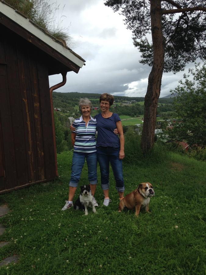 Ivaregga Vinterstua Tolga Bagian luar foto
