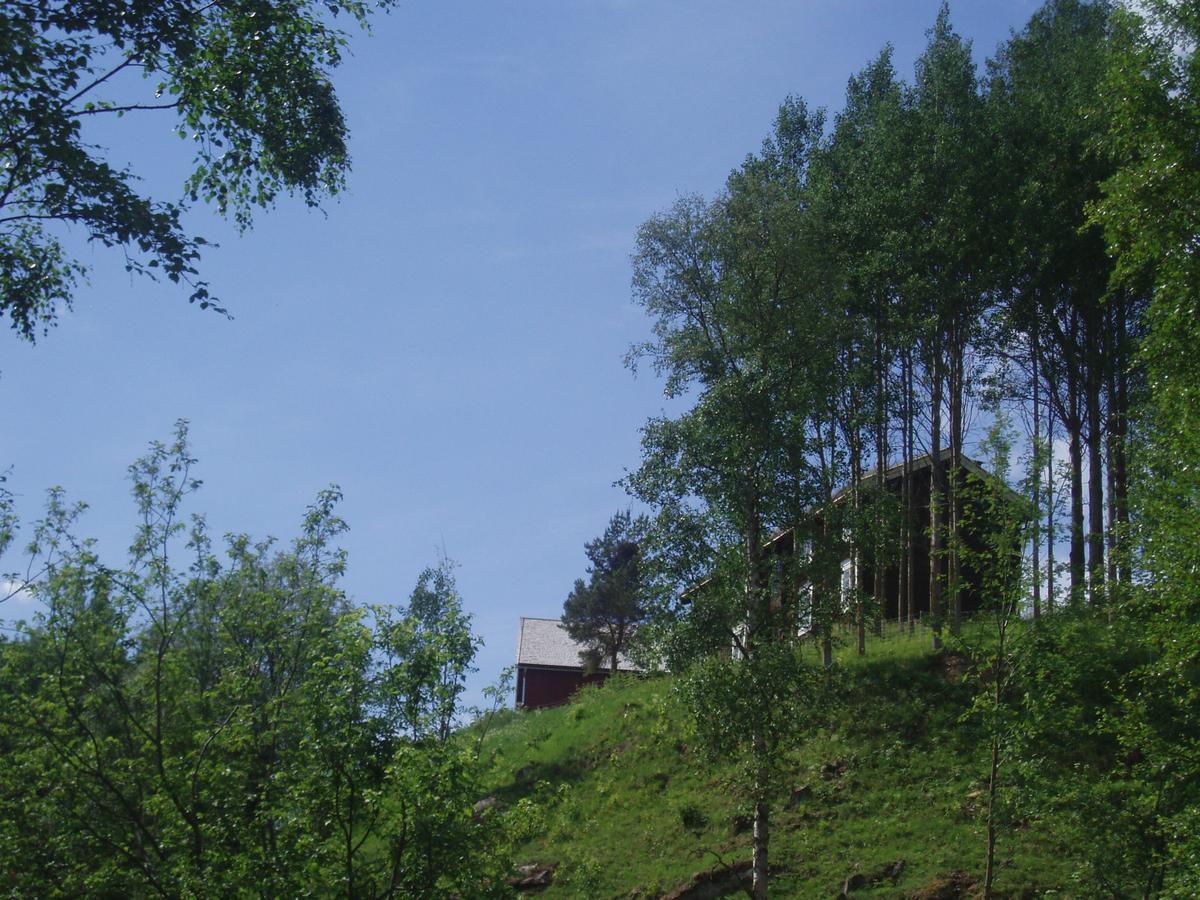 Ivaregga Vinterstua Tolga Bagian luar foto