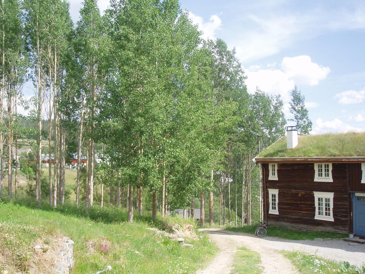 Ivaregga Vinterstua Tolga Bagian luar foto